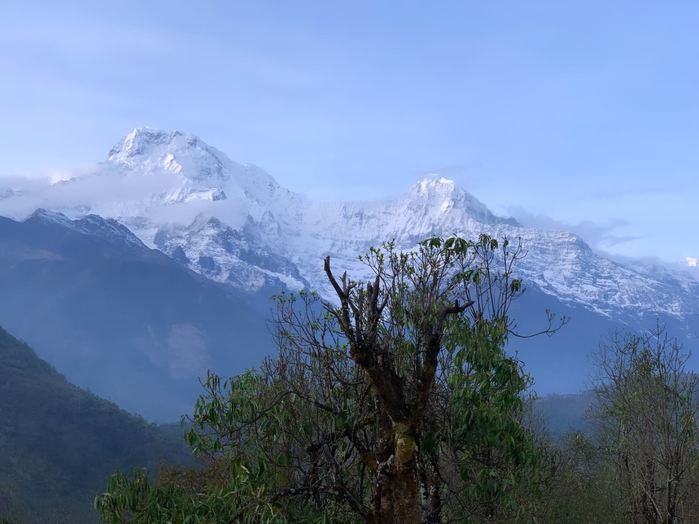 Annapurna II