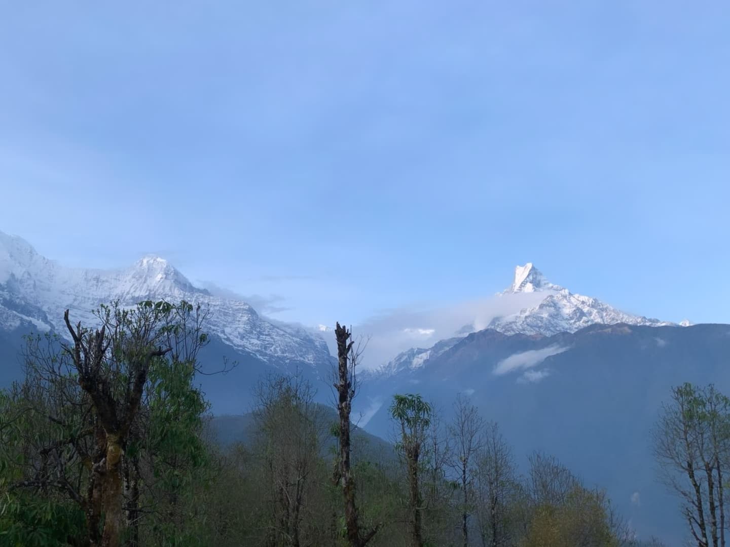 Himalayan Range From Ghandrunk